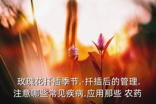 玫瑰需要什么農藥,買農藥需要什么條件