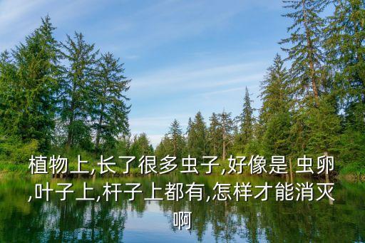 什么農藥能殺死卷葉蟲卵,蝸牛用什么農藥可以殺死