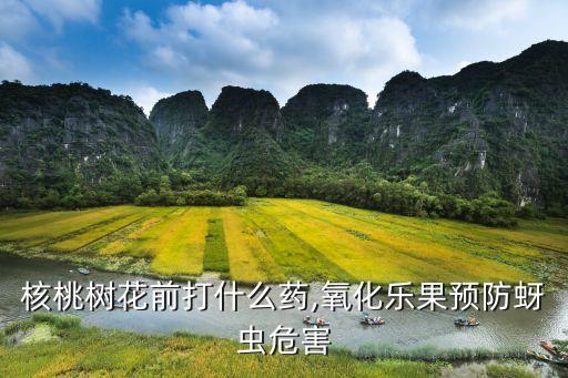 開花前打什么農藥消毒,桃子開花用什么農藥