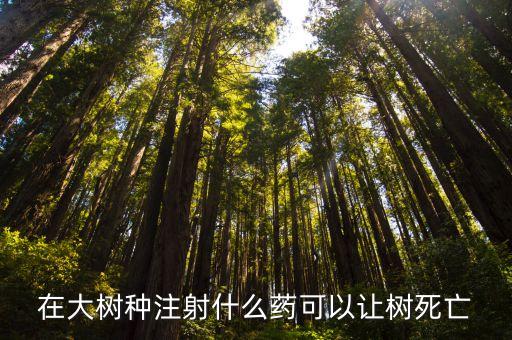 樹(shù)木注干使用什么農(nóng)藥好,樹(shù)木鉆心蟲(chóng)用什么農(nóng)藥效果好