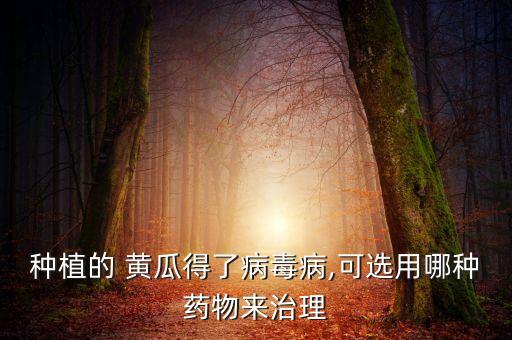 黃瓜打什么農(nóng)藥好得快,黃瓜不能用什么農(nóng)藥
