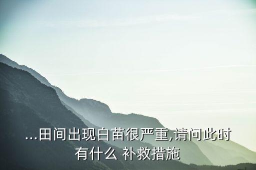 玉米打錯農藥用什么補救,玉米種下后需要噴什么農藥