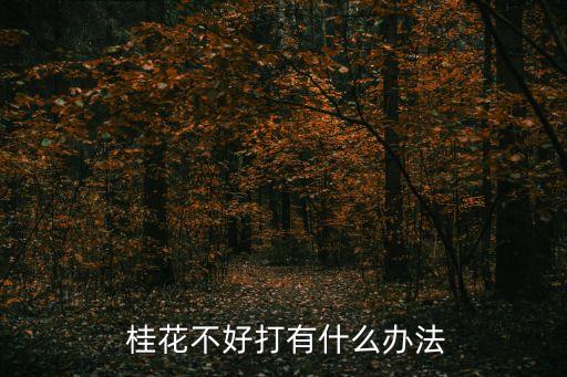  桂花不好打有什么辦法