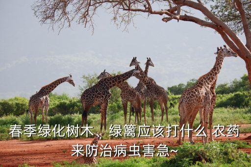 廣西病用什么農藥可治
