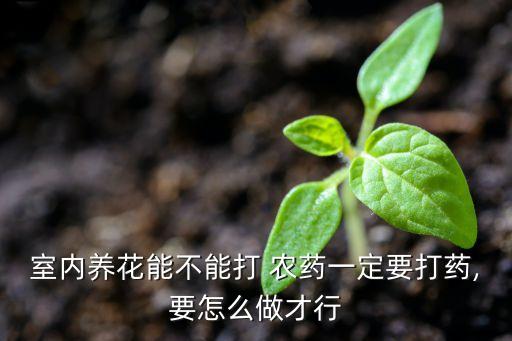 什么農藥適合盆栽花卉用