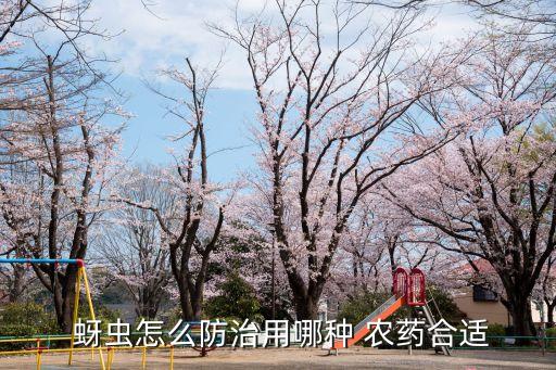 什么農藥可殺死蚜蟲,不用農藥殺死蚜蟲最好辦法