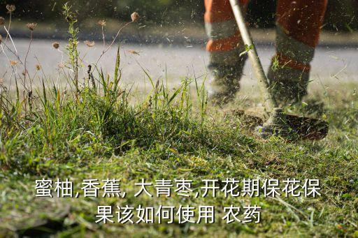 大青棗用什么農(nóng)藥最好,青棗什么品種最好