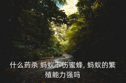 螞蟻打什么農藥最好,螞蟻用什么農藥可以除掉它