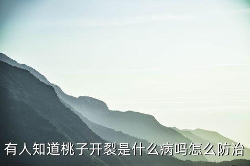 有人知道桃子開裂是什么病嗎怎么防治