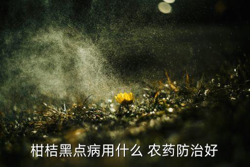 柑桔黑點(diǎn)病用什么 農(nóng)藥防治好