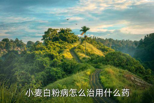 小麥白粉病怎么治用什么藥