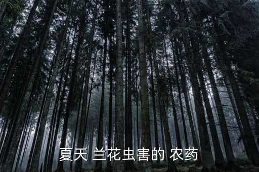 夏天 蘭花蟲害的 農藥