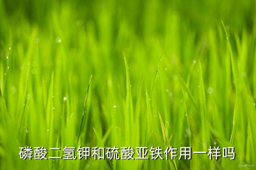 什么農藥含鐵元素,農藥元素位于什么位置