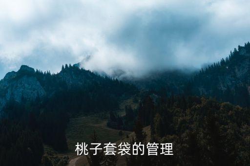 桃套袋打什么農藥好,桃不套袋會出現什么后果