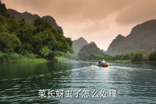 菜長(zhǎng)蚜蟲了怎么處理
