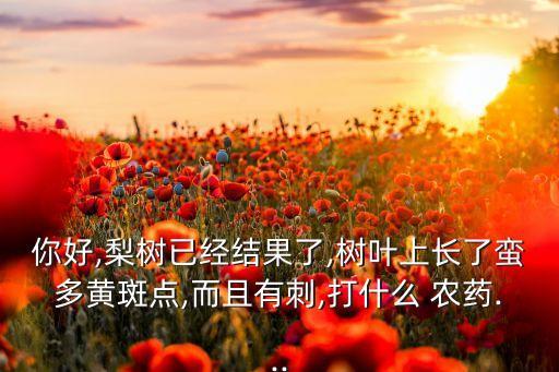 你好,梨樹已經(jīng)結(jié)果了,樹葉上長了蠻多黃斑點(diǎn),而且有刺,打什么 農(nóng)藥...
