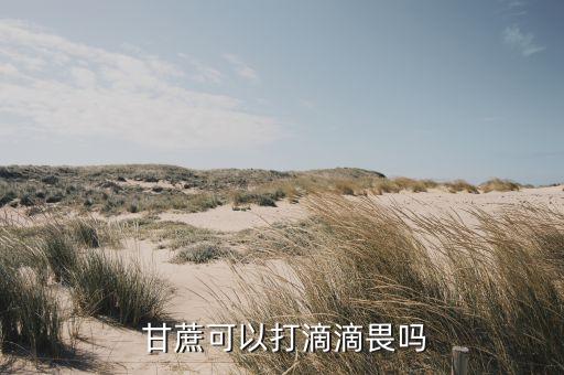  甘蔗可以打滴滴畏嗎
