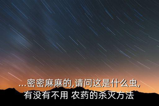 ...密密麻麻的,請問這是什么蟲,有沒有不用 農藥的殺滅方法
