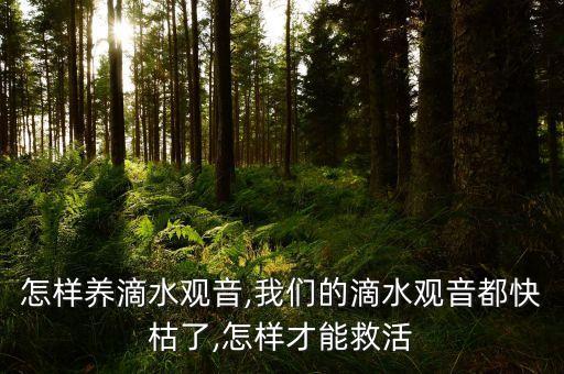 ,海芋打什么農藥消毒好些