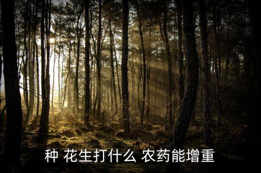 種 花生打什么 農藥能增重