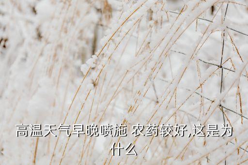 高溫天氣早晚噴施 農(nóng)藥較好,這是為什么