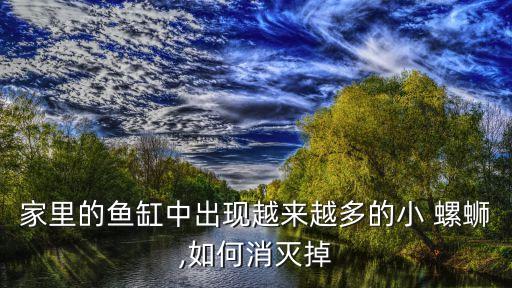 家里的魚缸中出現越來越多的小 螺螄,如何消滅掉