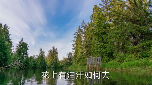 什么農(nóng)藥殺油汗蟲(chóng),殺蚊子用什么農(nóng)藥最好