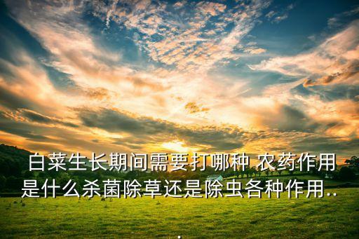  白菜生長期間需要打哪種 農(nóng)藥作用是什么殺菌除草還是除蟲各種作用...
