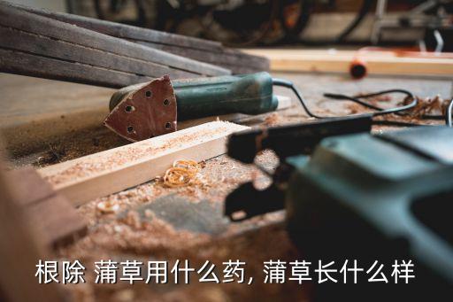 根除 蒲草用什么藥, 蒲草長什么樣