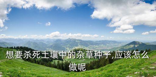 想要殺死土壤中的雜草種子,應該怎么做呢
