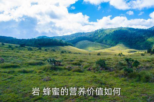 巖 蜂蜜的營養價值如何
