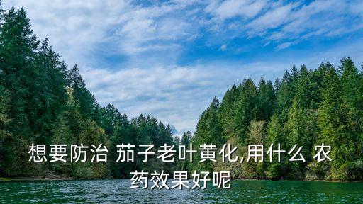 想要防治 茄子老葉黃化,用什么 農(nóng)藥效果好呢