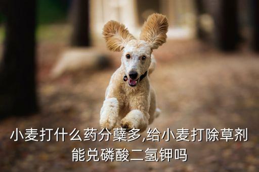 什么農藥能讓果實返青,果實著色用什么農藥?