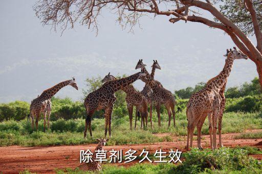 農藥持效期是什么意思,效期品是什么意思