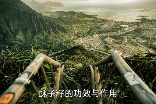 蘇子適合什么農(nóng)藥殺菌