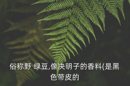俗稱野 綠豆,像決明子的香料(是黑色帶皮的