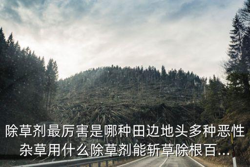 除黃蒿用什么農藥