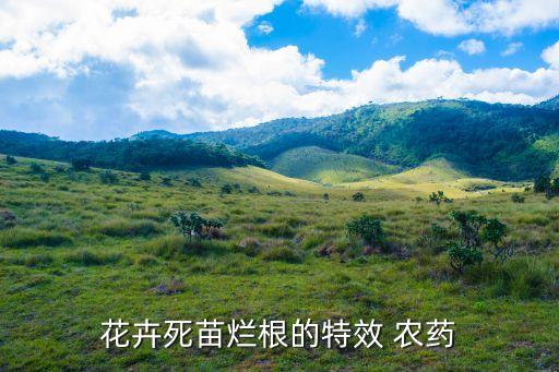 苑苗用什么農(nóng)藥噴死,農(nóng)藥應(yīng)該在什么時(shí)間噴,為什么