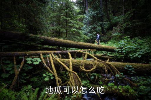白薯使用什么農藥