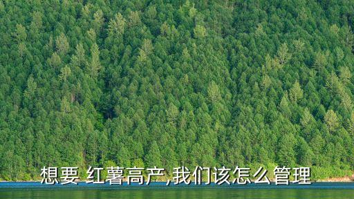 想要 紅薯高產(chǎn),我們該怎么管理