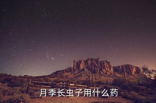  月季長蟲子用什么藥