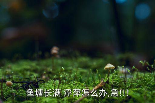 青浮萍打什么農(nóng)藥才能除掉