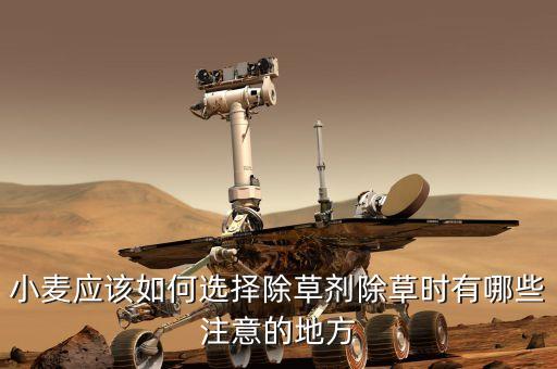 小麥應該如何選擇除草劑除草時有哪些注意的地方
