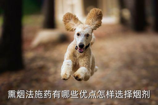 熏煙法施藥有哪些優(yōu)點(diǎn)怎樣選擇煙劑