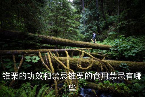 錐粟用什么農(nóng)藥,什么農(nóng)藥無色無味