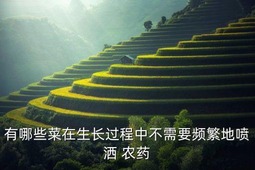 有哪些菜在生長過程中不需要頻繁地噴灑 農藥