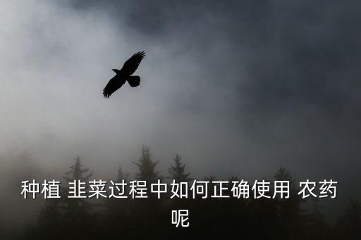 種植 韭菜過程中如何正確使用 農藥呢