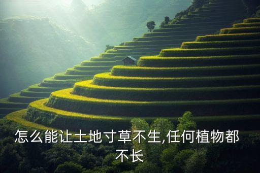 怎么能讓土地寸草不生,任何植物都 不長