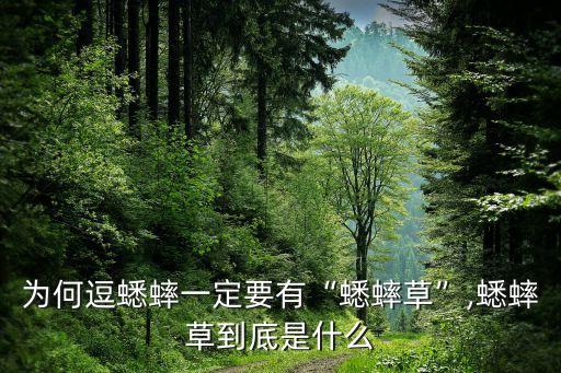 屋里有蛐蛐是什么原因,打蛐蛐的農藥是什么
