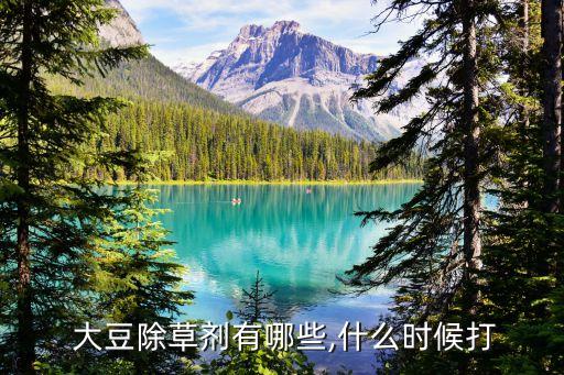 大豆用什么農藥打最好,一般什么時間打農藥最好